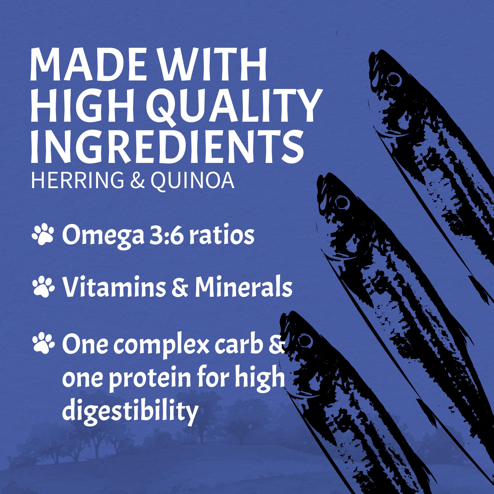 Amazon.com: Canine Caviar - Wild Ocean: Herring & Teff Alkaline